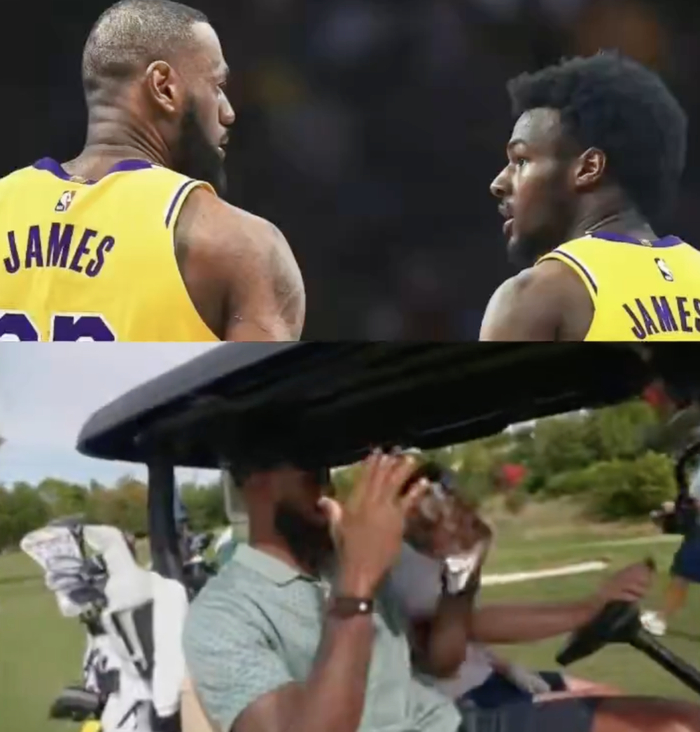 勒布朗·詹姆斯：布朗尼激励我延续篮球生涯